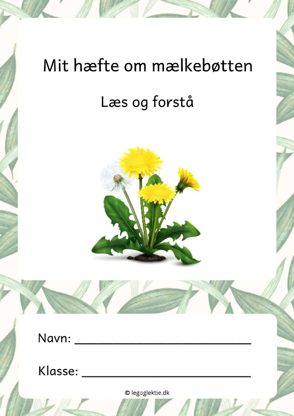 Læs og forstå om mælkebøtte til dansk 4. - 5. klasse.