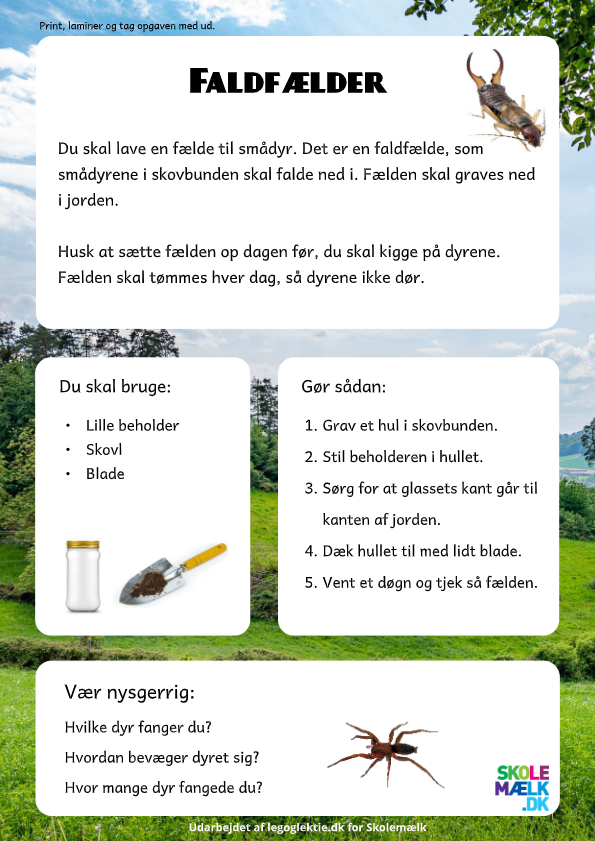 Aktivitet i natur/teknik. Lav faldfælder og se dyr helt tæt på.