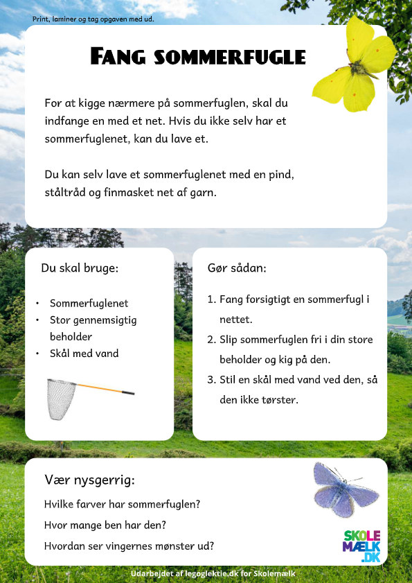 Aktivitet til Natur/teknik hvor dit barn skal fange sommerfugle, og se dem helt tæt på.