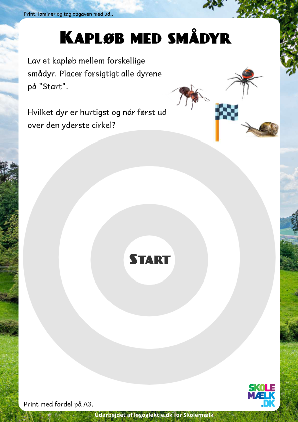 Kapløb med smådyr. Dit barn skal indsamle forskellige smådyr, og se hvilket dyr der er hurtigst.