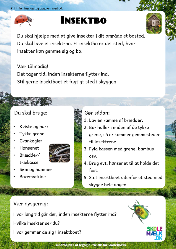 Aktivitet til Natur/teknologi. Dit barn skla bygge et insektbo, hvor insekter kan gemme sig og bo, og dit barn kan se dem helt tæt på.