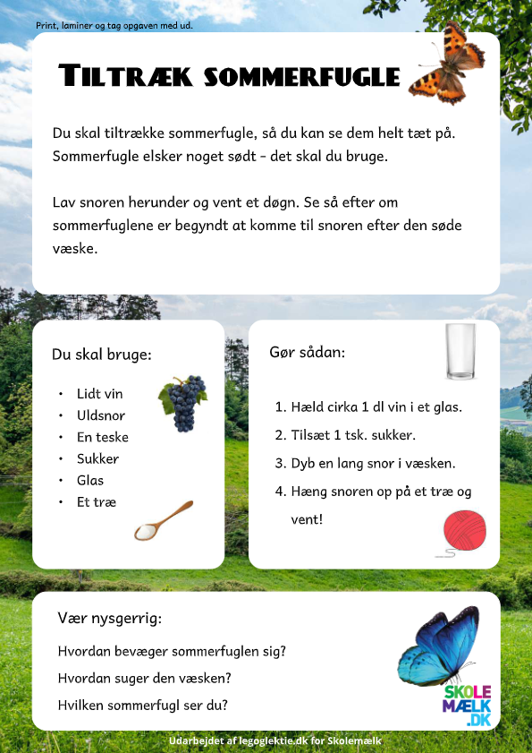 Aktivitet til Natur/Teknik, hvor dit barn skal tiltrække sommerfugle.