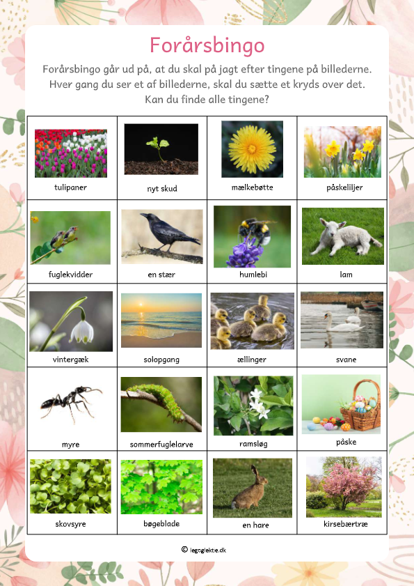 Gå på jagt i forårsvejret med denne bingoplade. Kan i finde alle tingene?